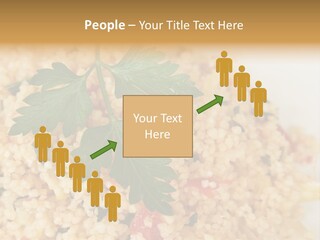 Retirement Water Caucasian PowerPoint Template