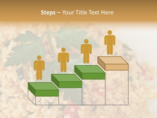 Retirement Water Caucasian PowerPoint Template