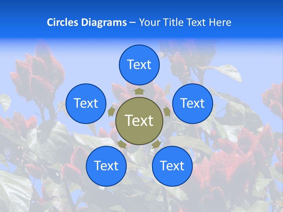 Standing Calm Portrait PowerPoint Template