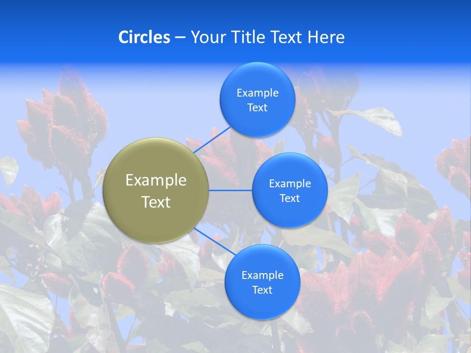 Standing Calm Portrait PowerPoint Template