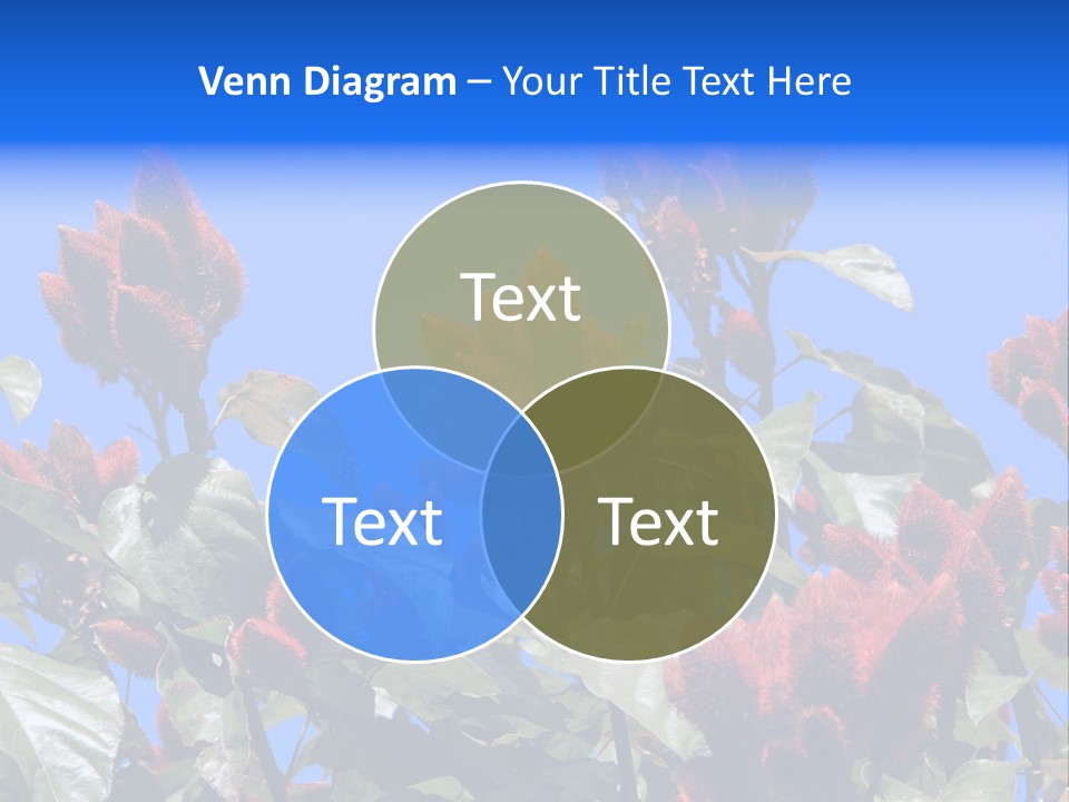 Standing Calm Portrait PowerPoint Template