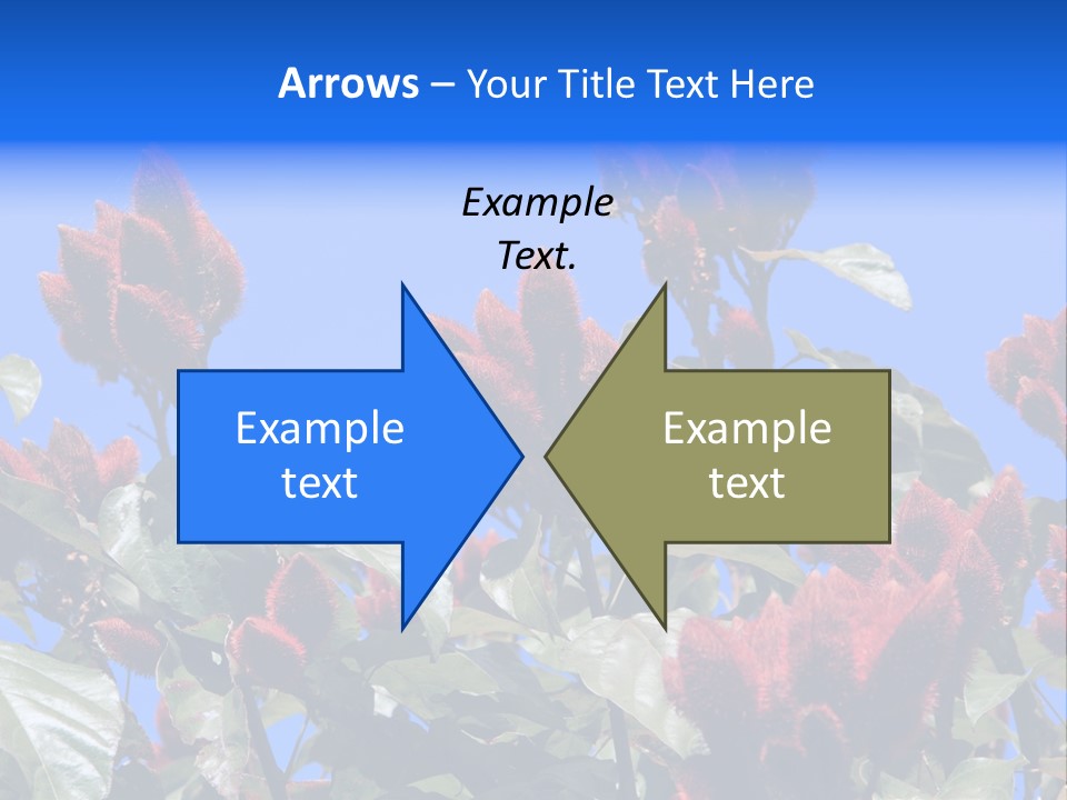 Standing Calm Portrait PowerPoint Template