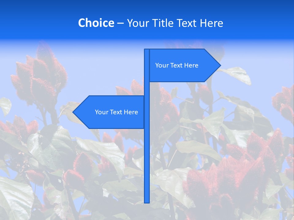Standing Calm Portrait PowerPoint Template