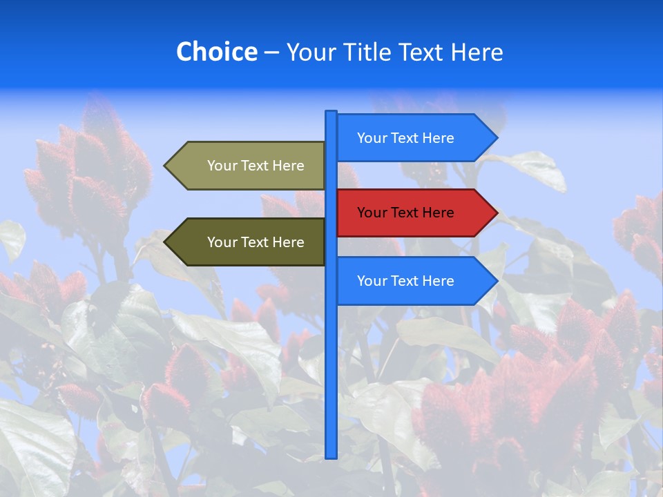 Standing Calm Portrait PowerPoint Template