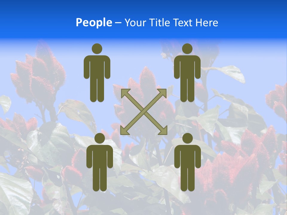 Standing Calm Portrait PowerPoint Template