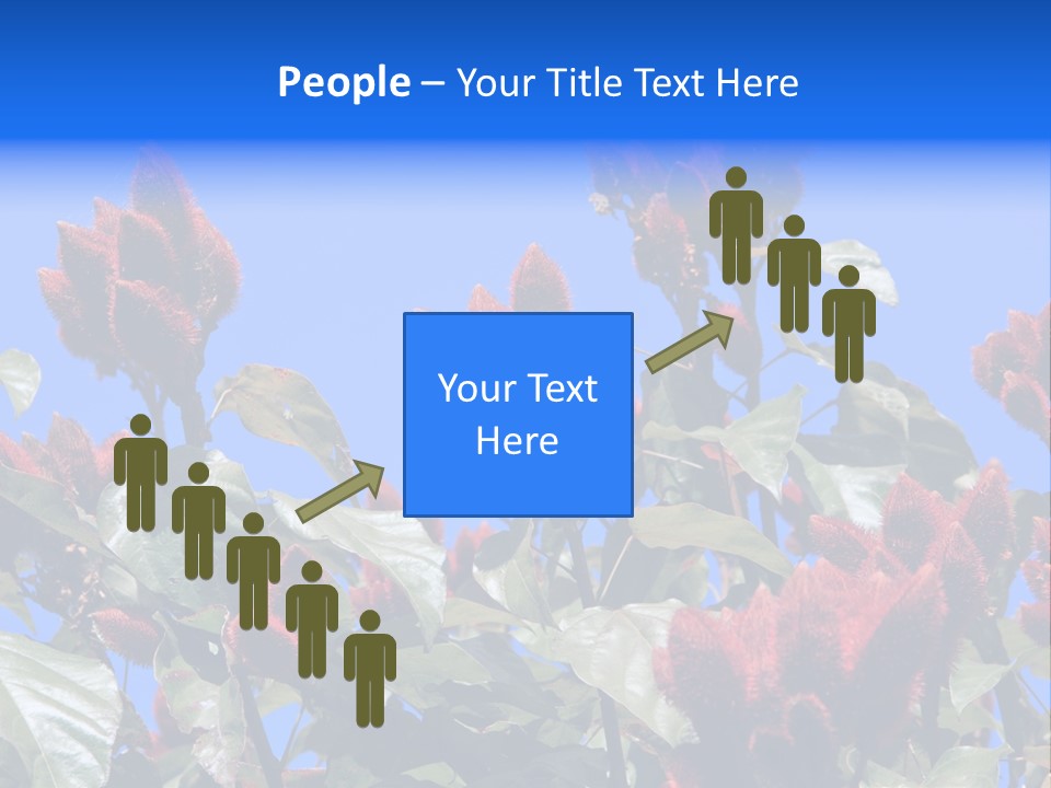 Standing Calm Portrait PowerPoint Template