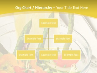 Beach Water Life PowerPoint Template