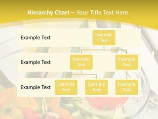 Beach Water Life PowerPoint Template