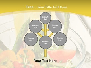 Beach Water Life PowerPoint Template