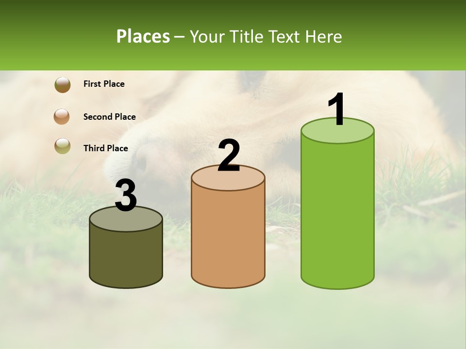 Water Standing Woman PowerPoint Template