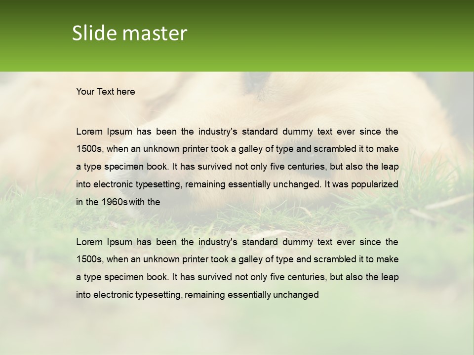 Water Standing Woman PowerPoint Template