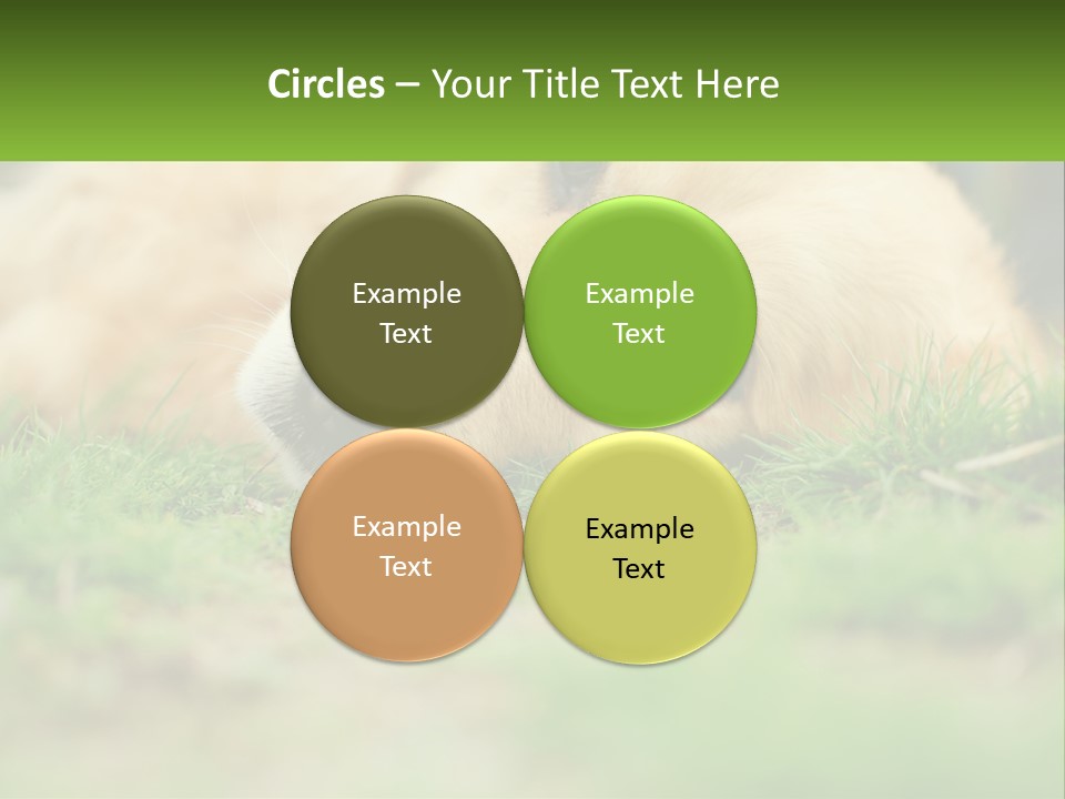 Water Standing Woman PowerPoint Template