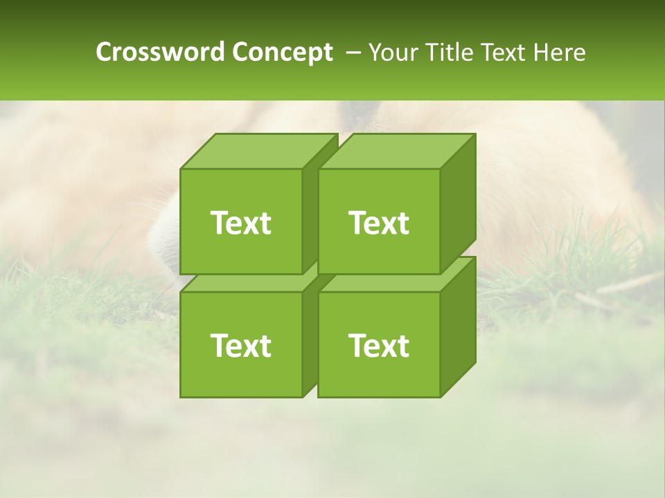 Water Standing Woman PowerPoint Template