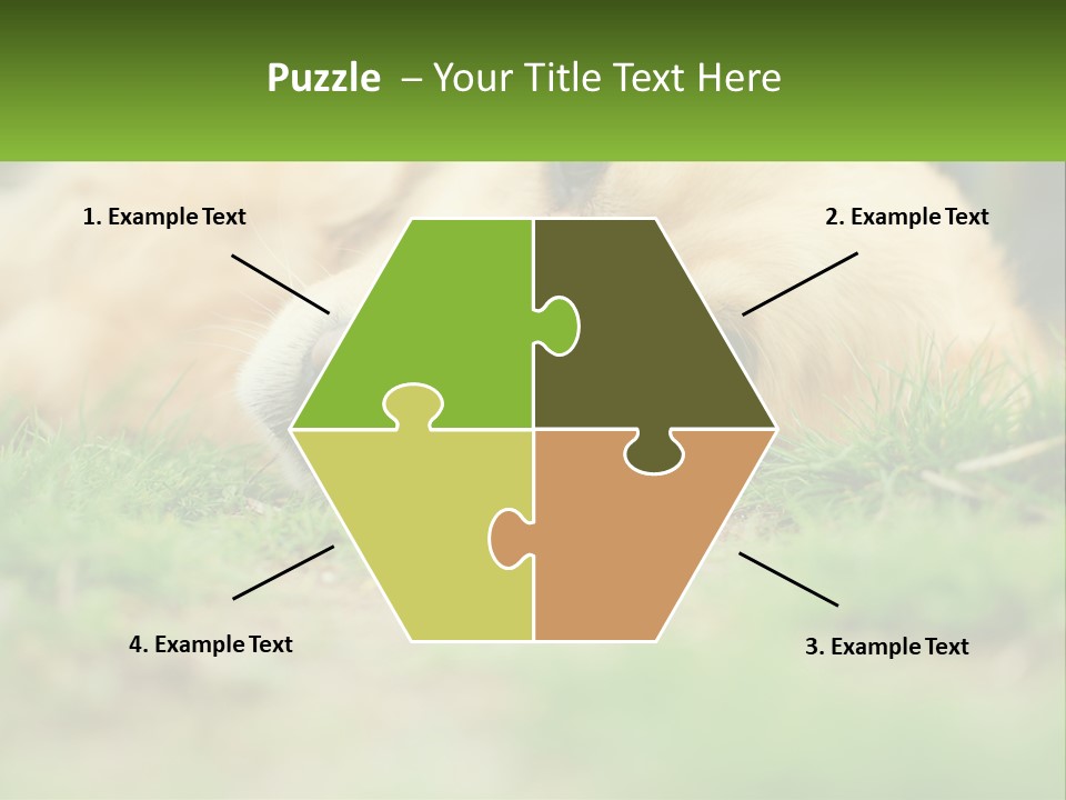 Water Standing Woman PowerPoint Template