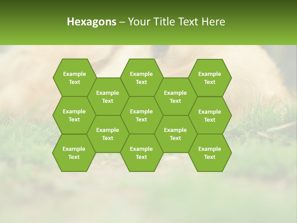 Water Standing Woman PowerPoint Template