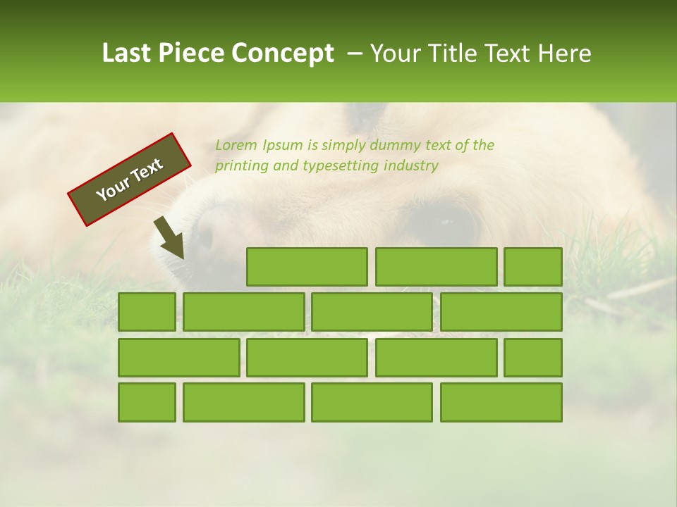 Water Standing Woman PowerPoint Template