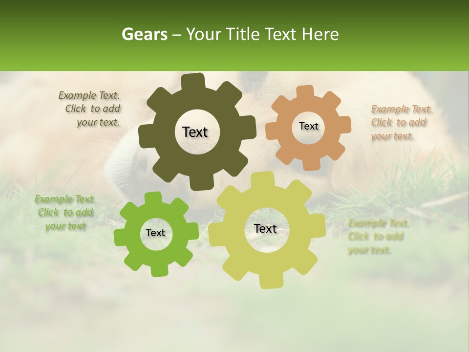 Water Standing Woman PowerPoint Template