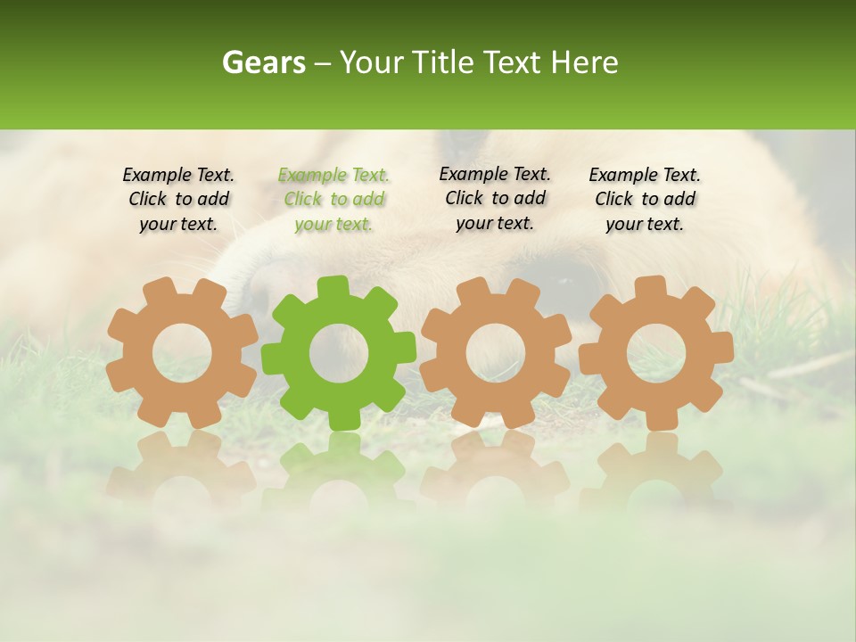 Water Standing Woman PowerPoint Template