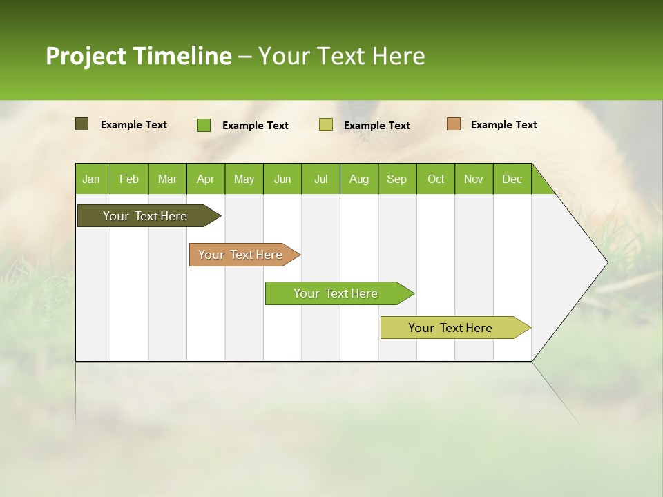 Water Standing Woman PowerPoint Template