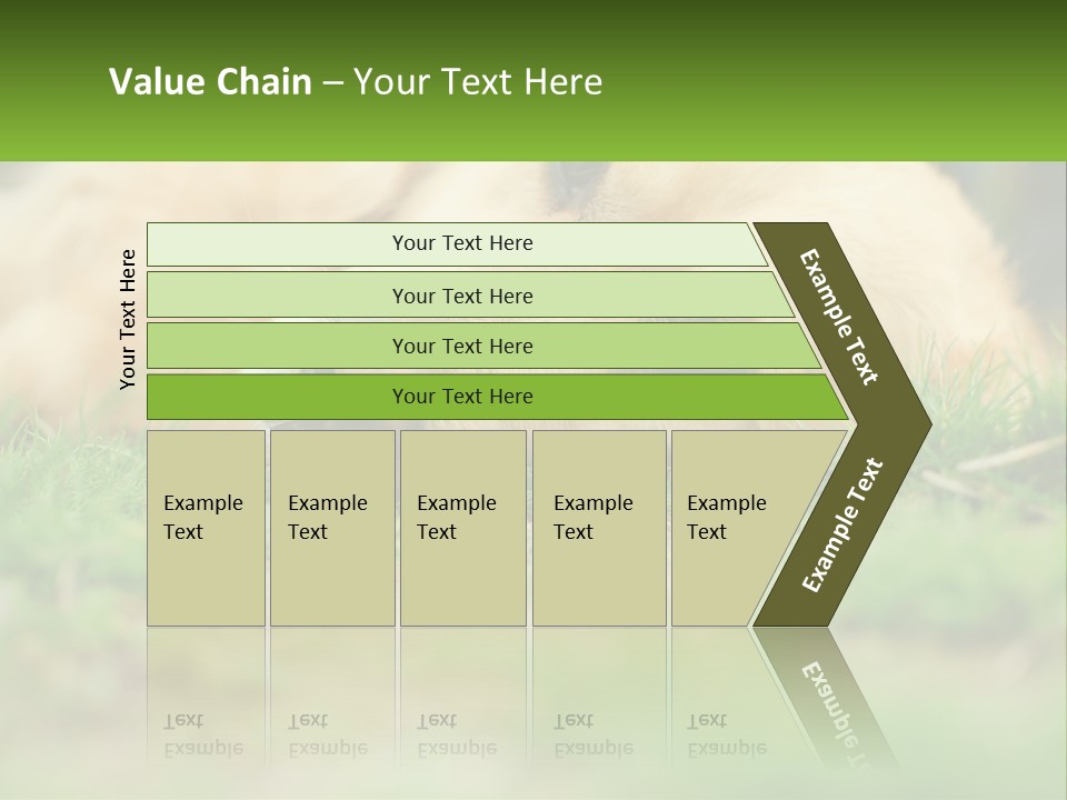 Water Standing Woman PowerPoint Template