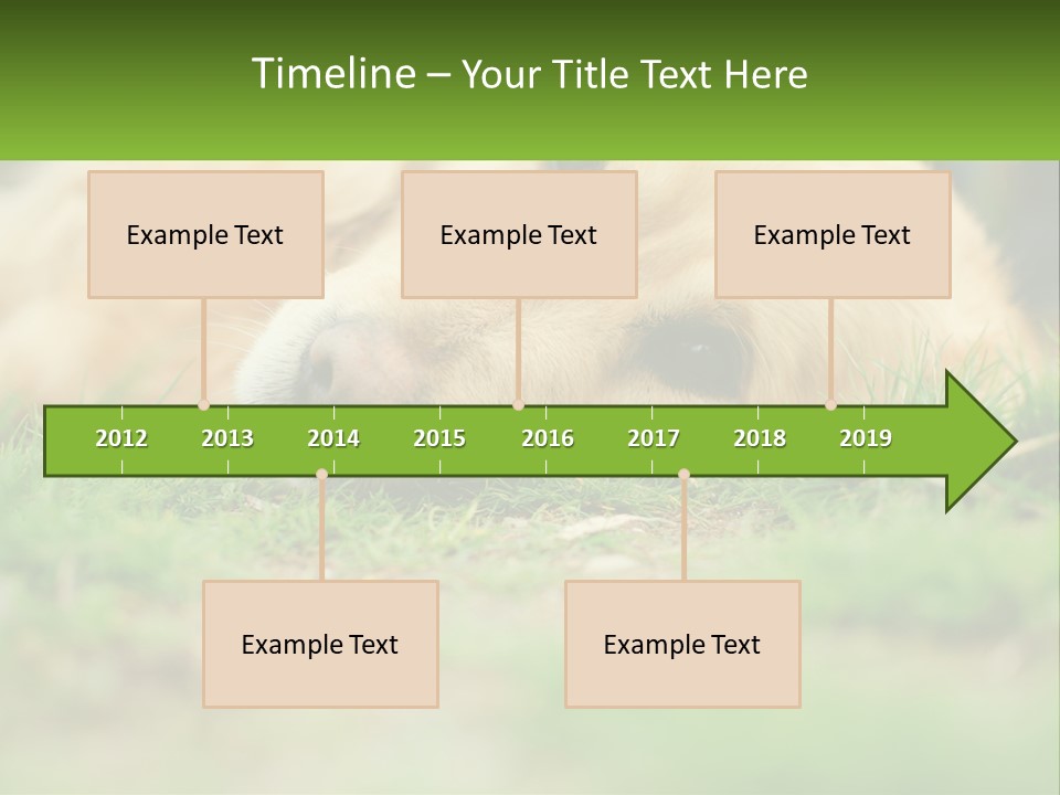 Water Standing Woman PowerPoint Template