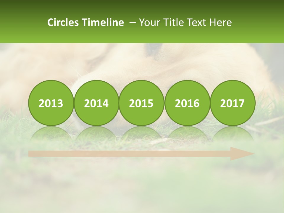 Water Standing Woman PowerPoint Template