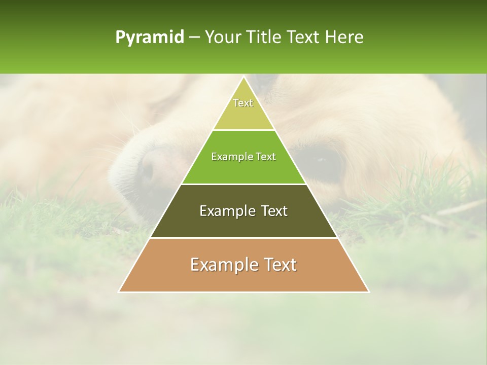 Water Standing Woman PowerPoint Template