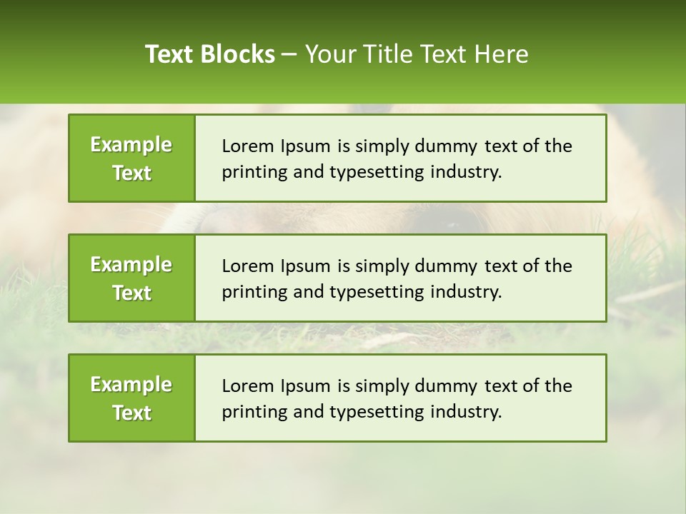 Water Standing Woman PowerPoint Template