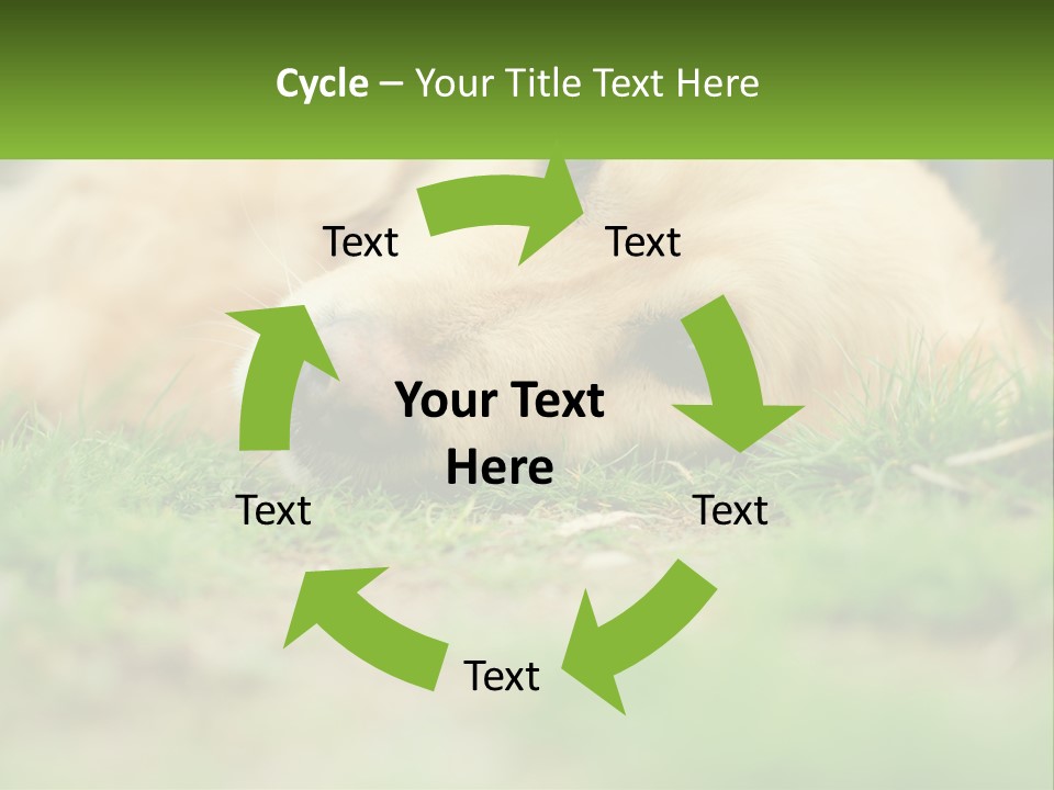 Water Standing Woman PowerPoint Template