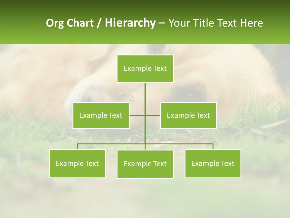 Water Standing Woman PowerPoint Template