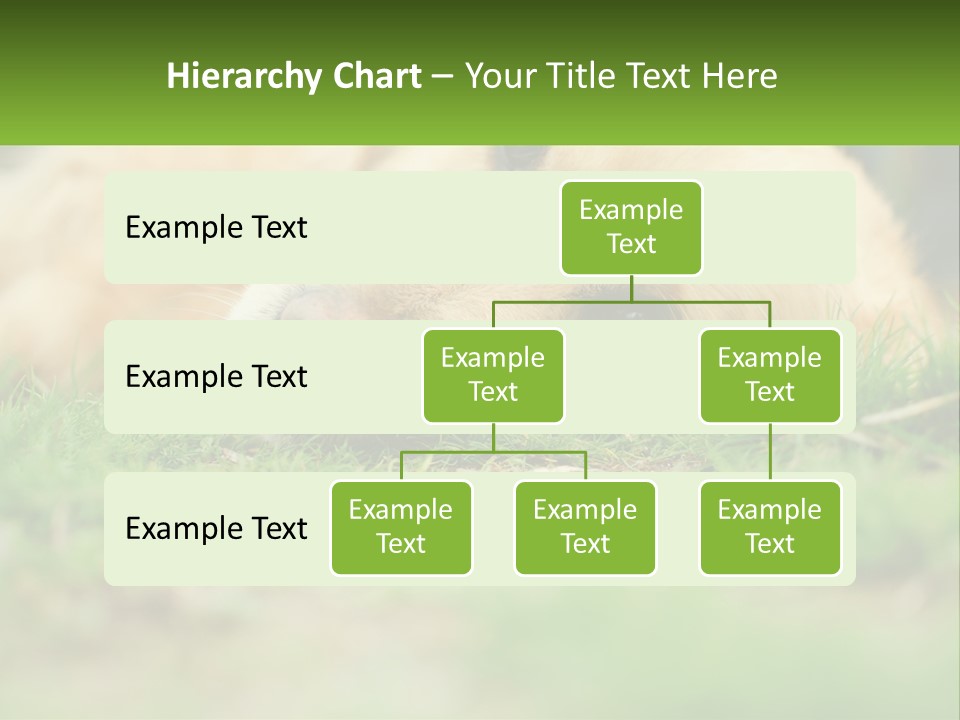 Water Standing Woman PowerPoint Template