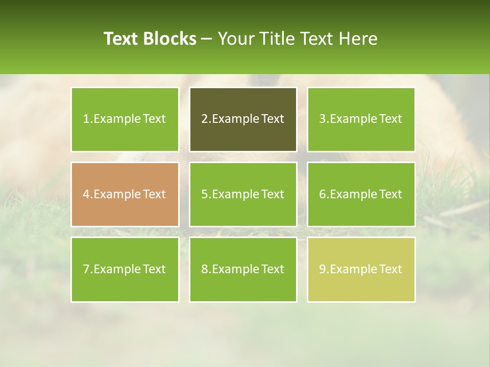 Water Standing Woman PowerPoint Template