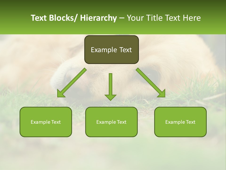 Water Standing Woman PowerPoint Template