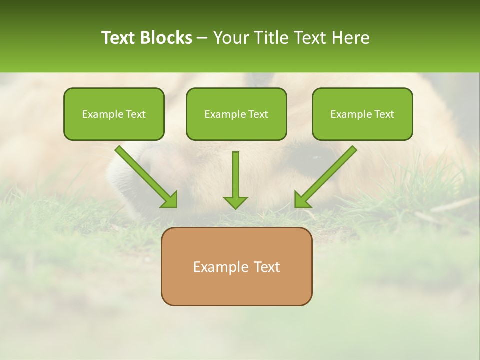 Water Standing Woman PowerPoint Template
