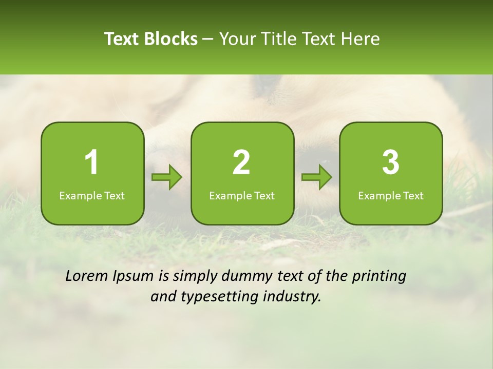 Water Standing Woman PowerPoint Template