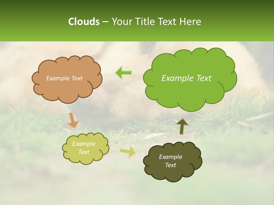 Water Standing Woman PowerPoint Template