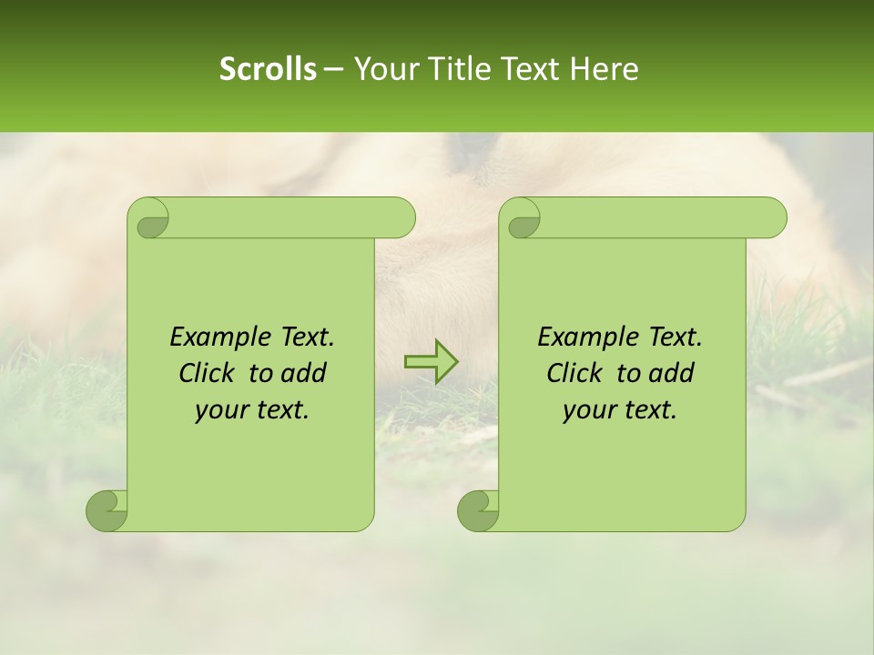 Water Standing Woman PowerPoint Template