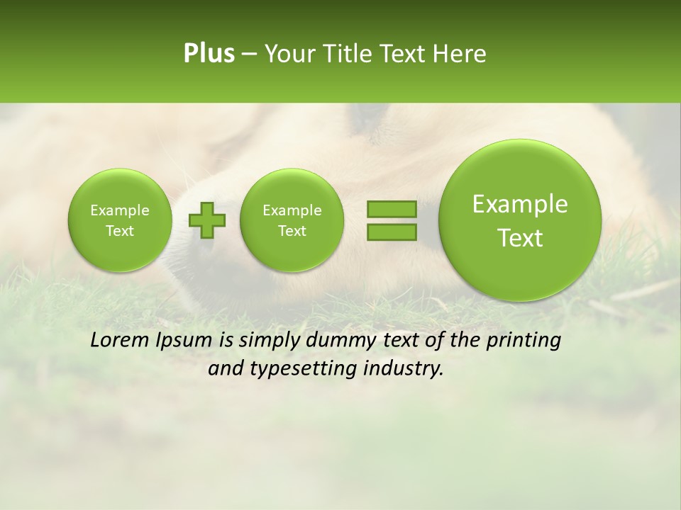 Water Standing Woman PowerPoint Template