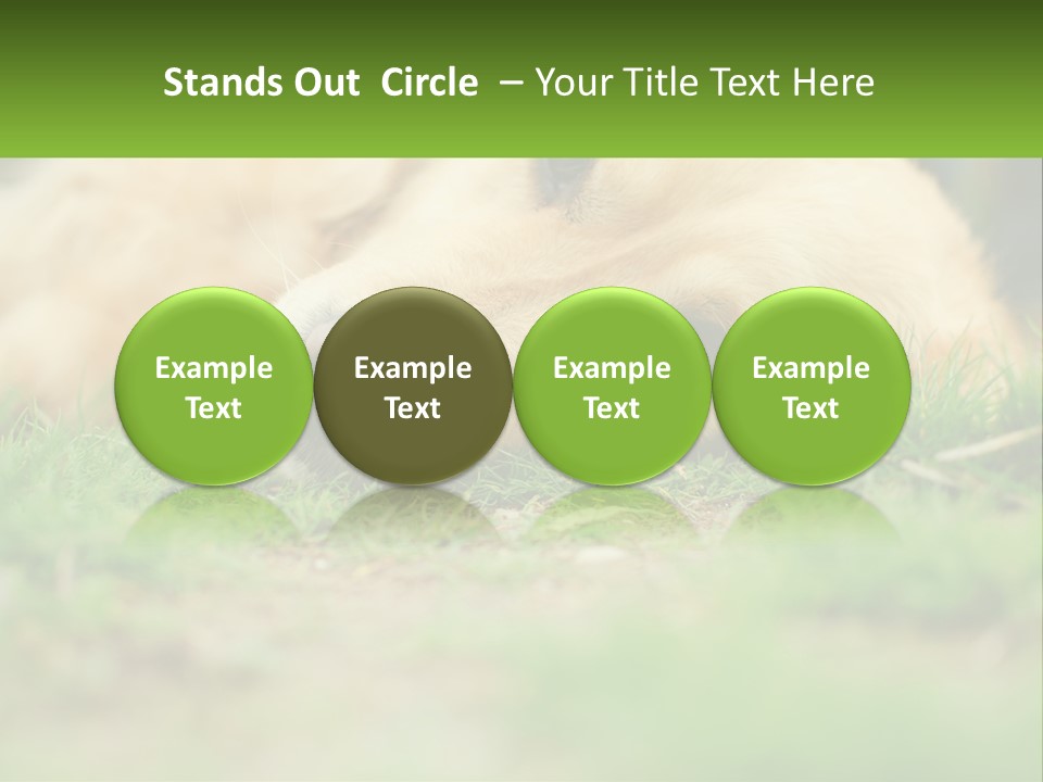 Water Standing Woman PowerPoint Template