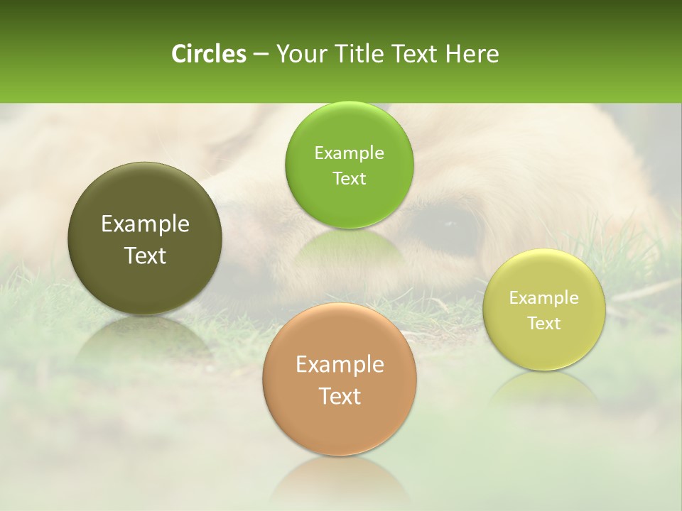 Water Standing Woman PowerPoint Template