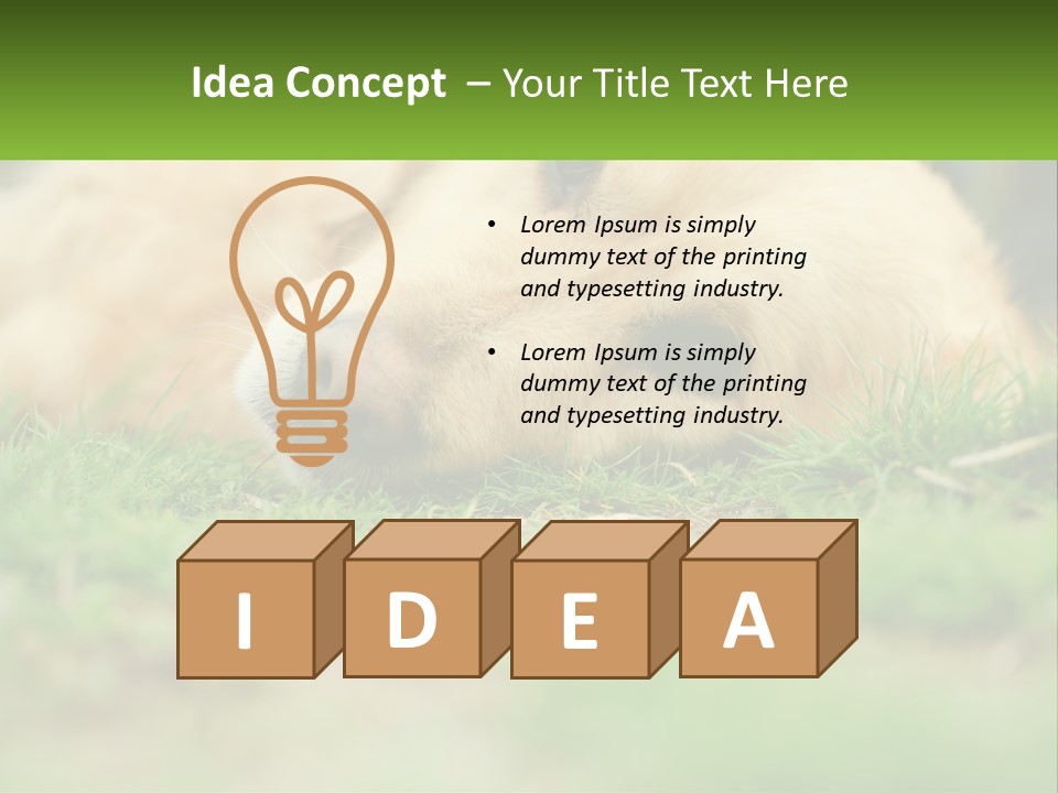 Water Standing Woman PowerPoint Template