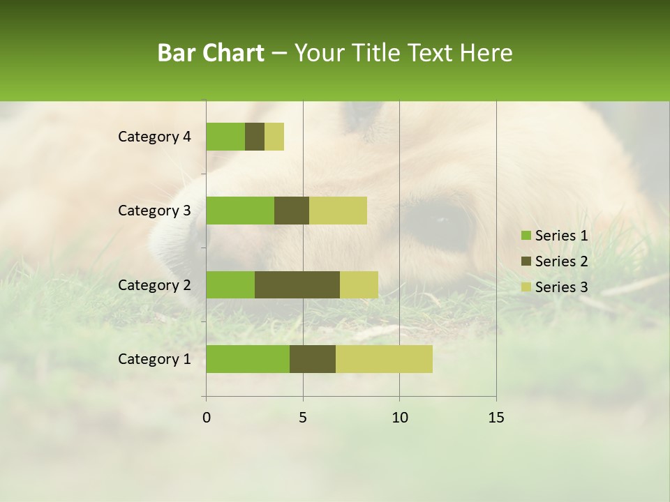 Water Standing Woman PowerPoint Template