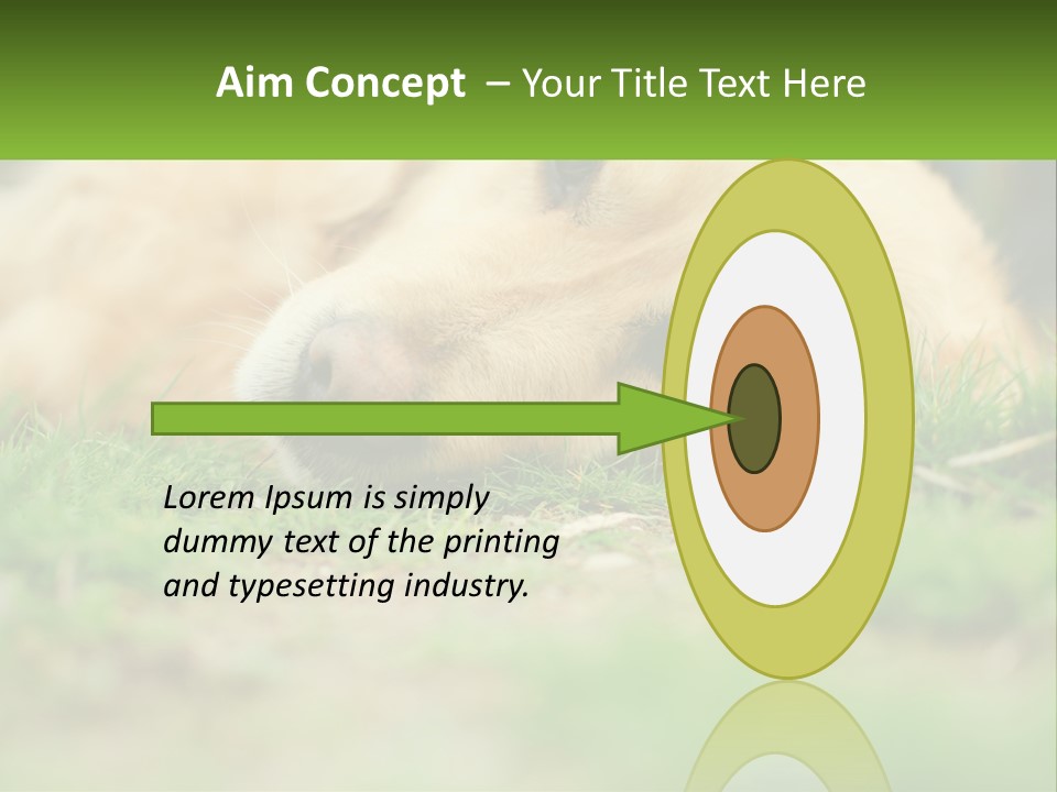 Water Standing Woman PowerPoint Template