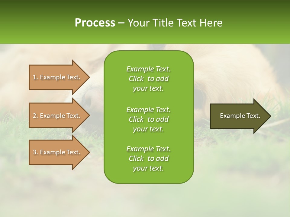 Water Standing Woman PowerPoint Template