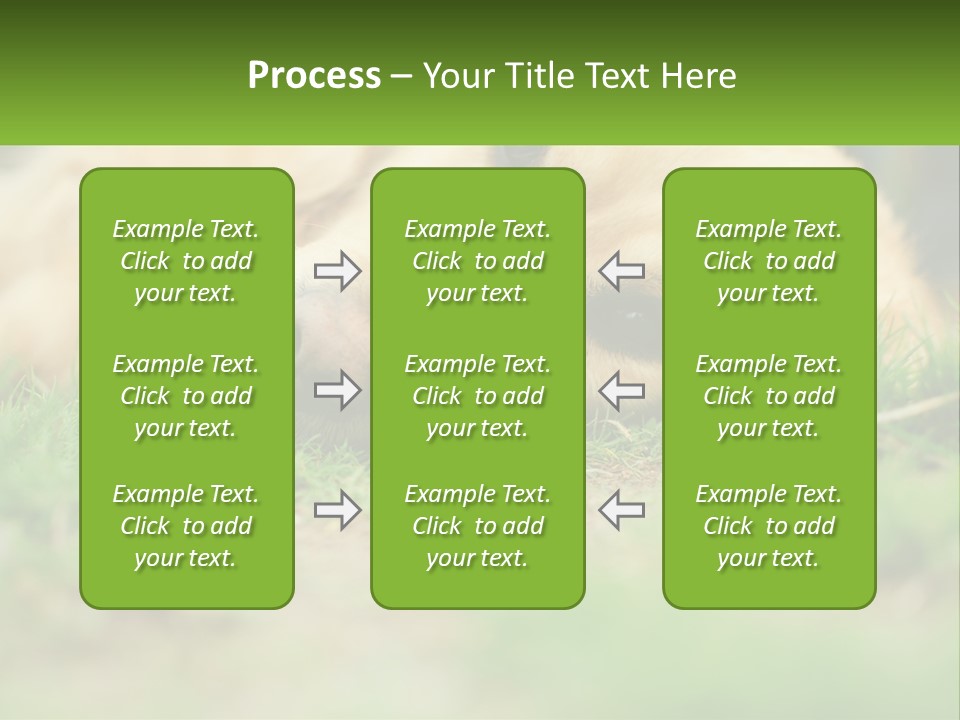 Water Standing Woman PowerPoint Template