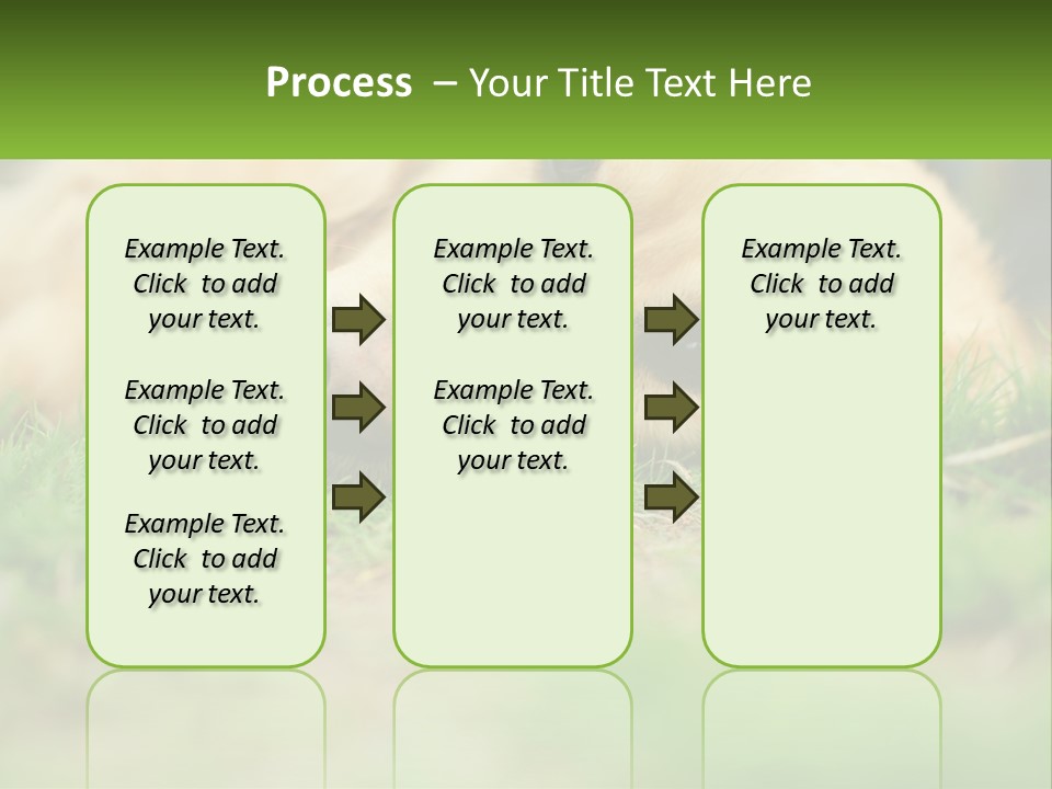 Water Standing Woman PowerPoint Template