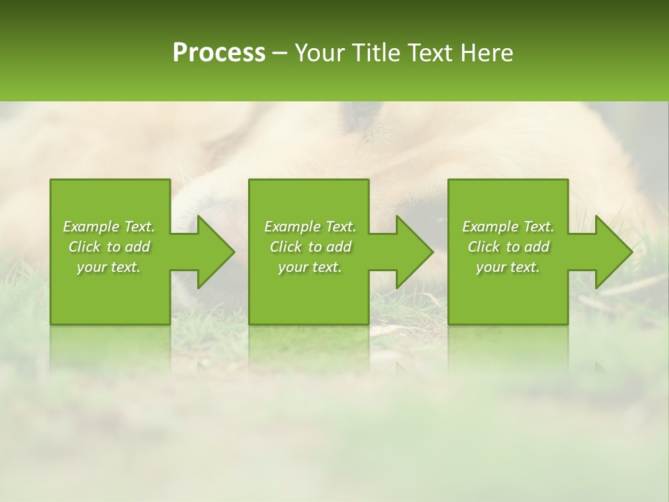 Water Standing Woman PowerPoint Template