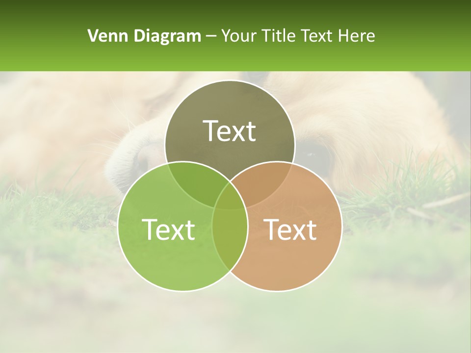 Water Standing Woman PowerPoint Template