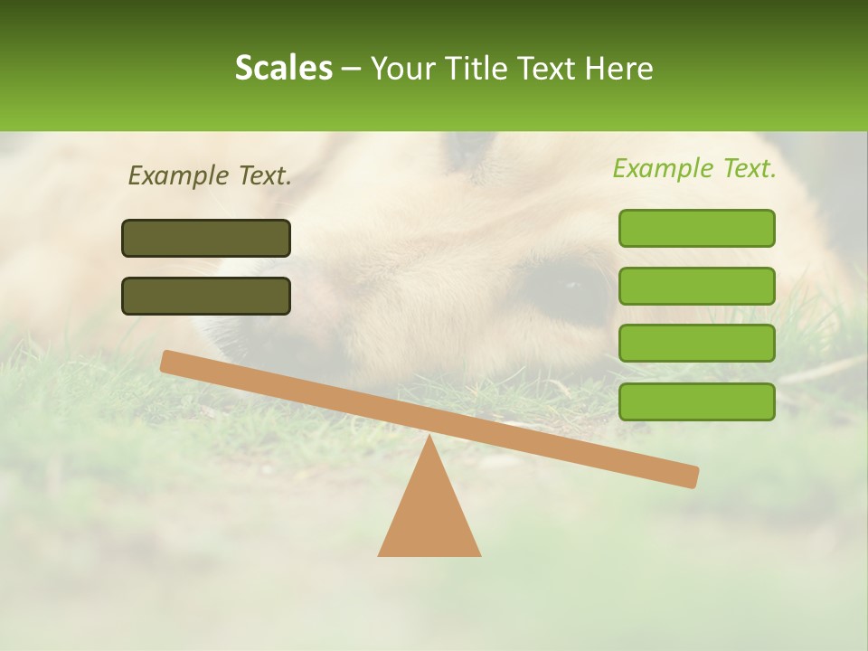 Water Standing Woman PowerPoint Template