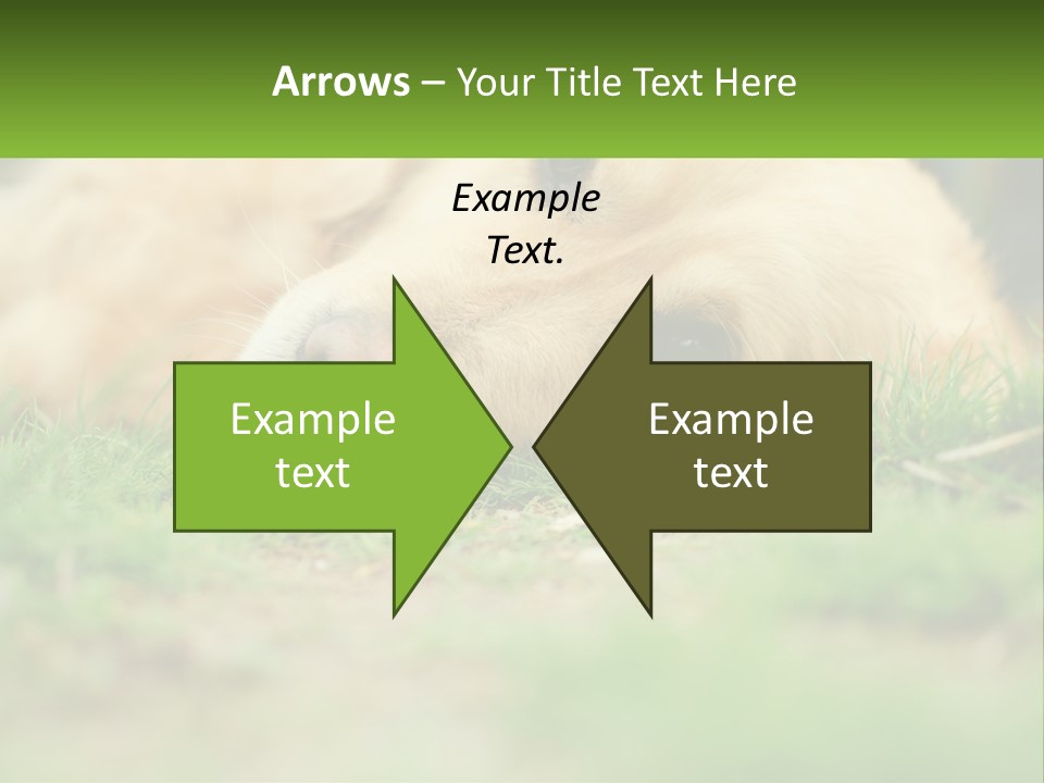 Water Standing Woman PowerPoint Template